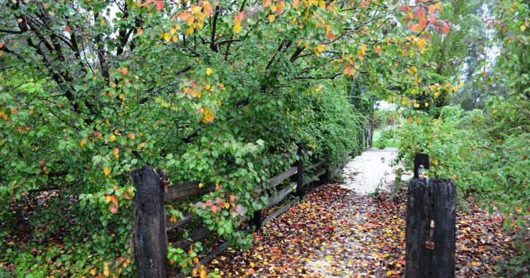 autumn 2024 autumn 2024