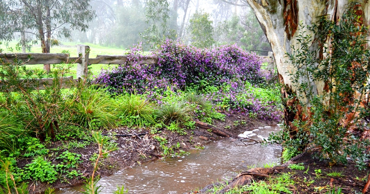 Winter at The Heritage Garden, Sevenhill, Clare Valley